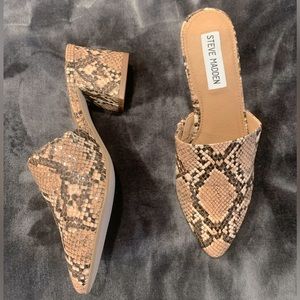 Steve Madden Snake Mules